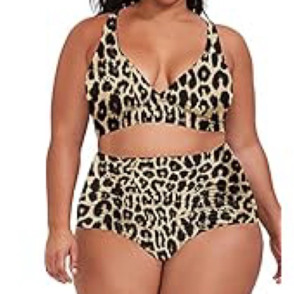 Leopard Print Women's High Waisted Bikini
